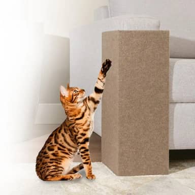 Arranhador Pet Gatos Cama Box e Canto De Sofá Com 2 Peças Montado MDF Premium (Bege)