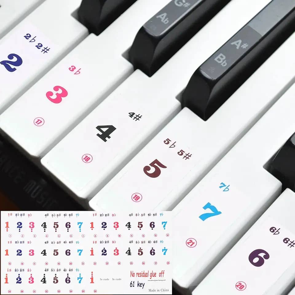 Generic Adesivos de teclado de piano, 61 teclas numeradas adesivo de piano guia removível para iniciantes aprendendo
