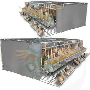 Kit 2 Gaiola Codorna Viveiro Japonesa Postura Ovos 30 Aves Poedeira