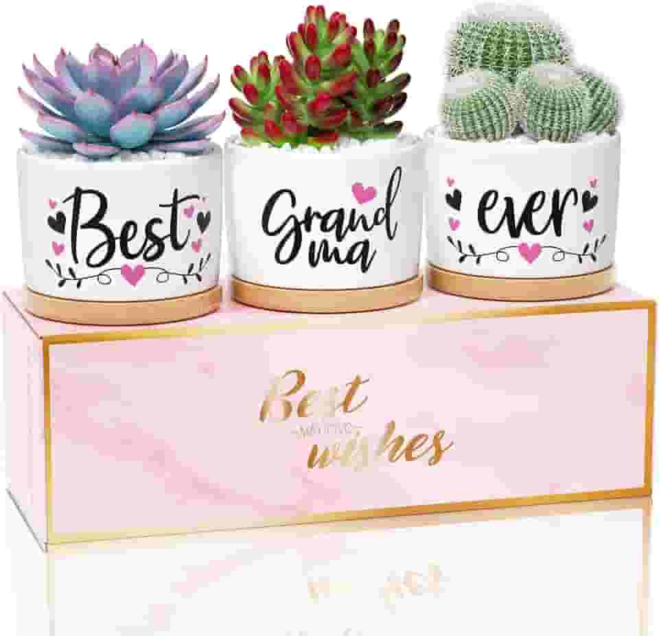 Presentes de Dia das Mães para a avó, presentes de netos, netos, presentes de aniversário para avó, presente de aniversário para avó, conjunto de presentes de avó, melhores vasos de suculentas para