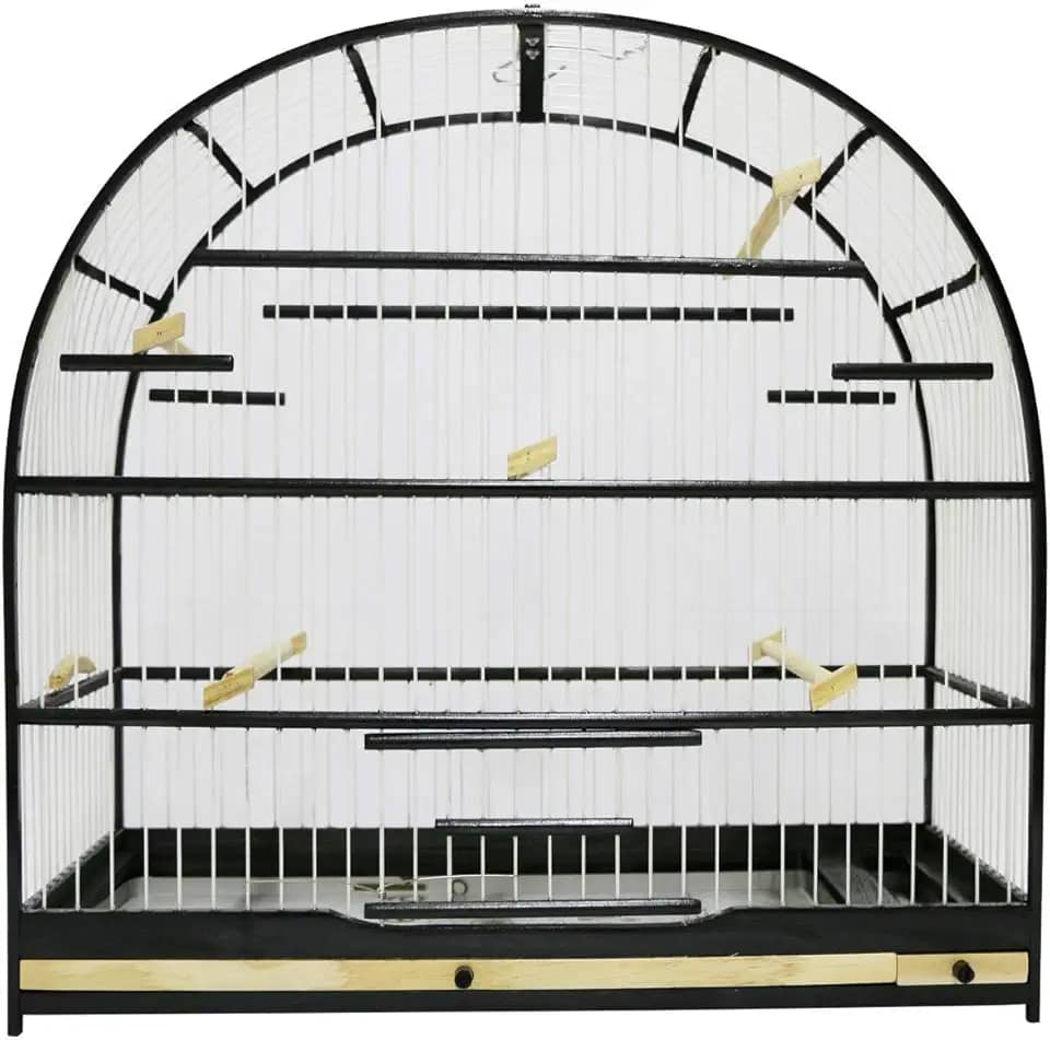 Gaiola Pássaro Curió Preto