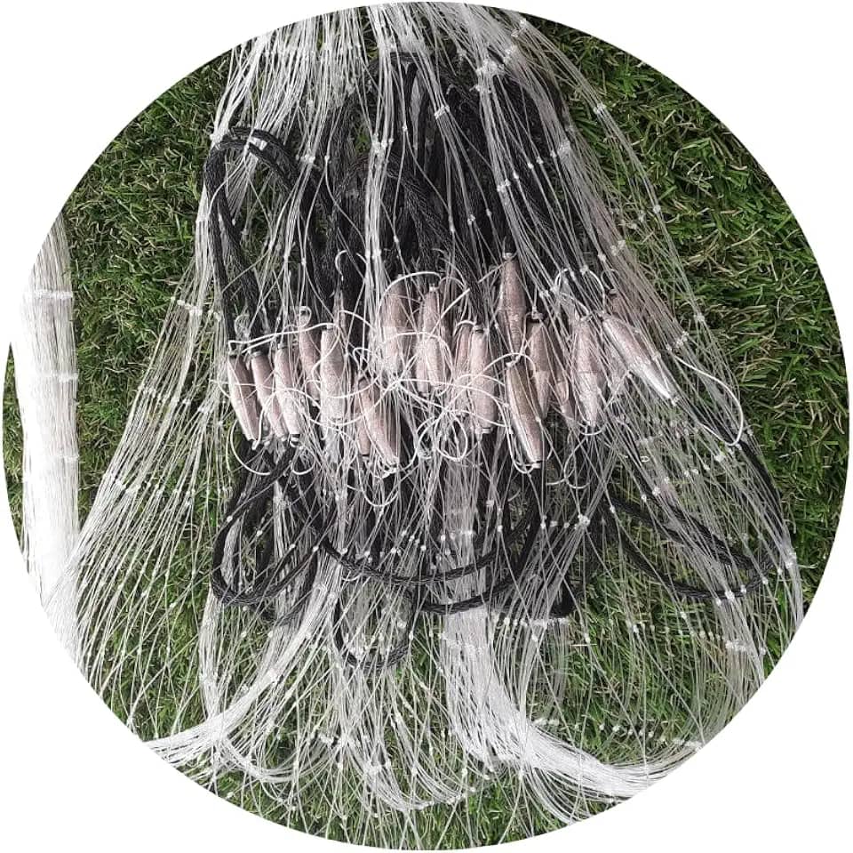 Tarrafa para pescar tilapia, pacu, corvina, mandi, piapara