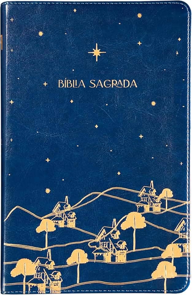 The Purpose Book: Bíblia Sagrada, A21, Capa Couro-soft azul, Reino