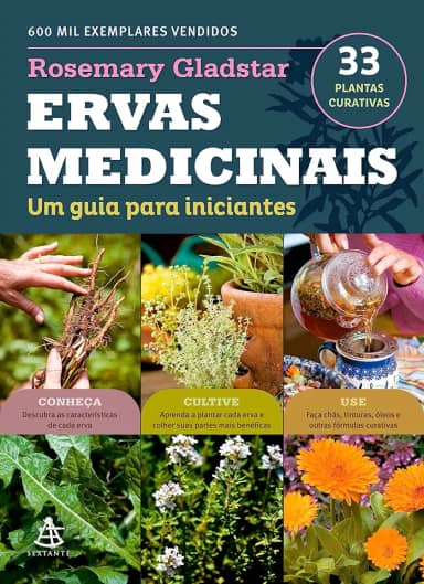 Ervas medicinais: Um guia para iniciantes