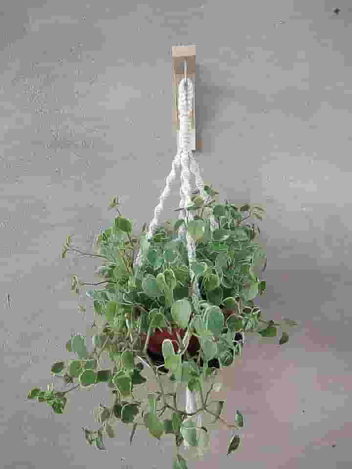 Floreira De Macramê Plant Hanger Suporte Suspenso Cru 24 Fios 4 Alças