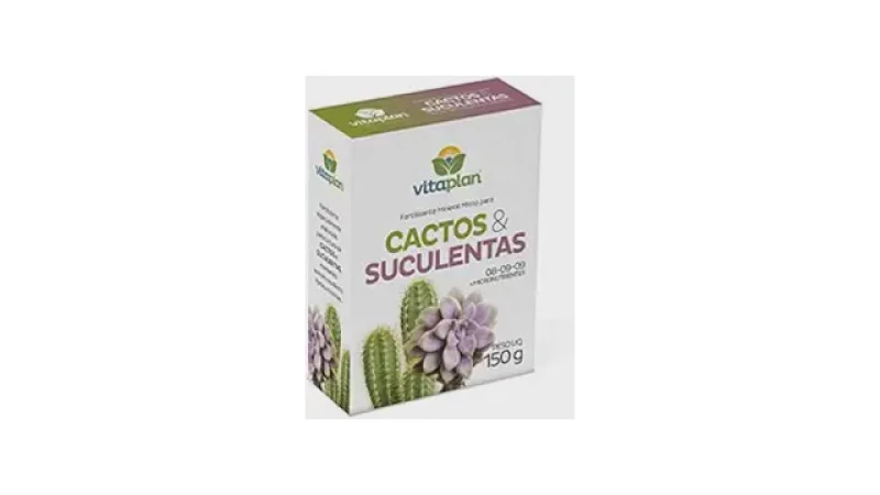 Melhor Adubo para Plantas Suculentas: Guia Completo