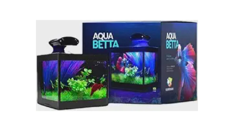 Melhor Aquário para Betta: Guia Completo e Opções Ideais