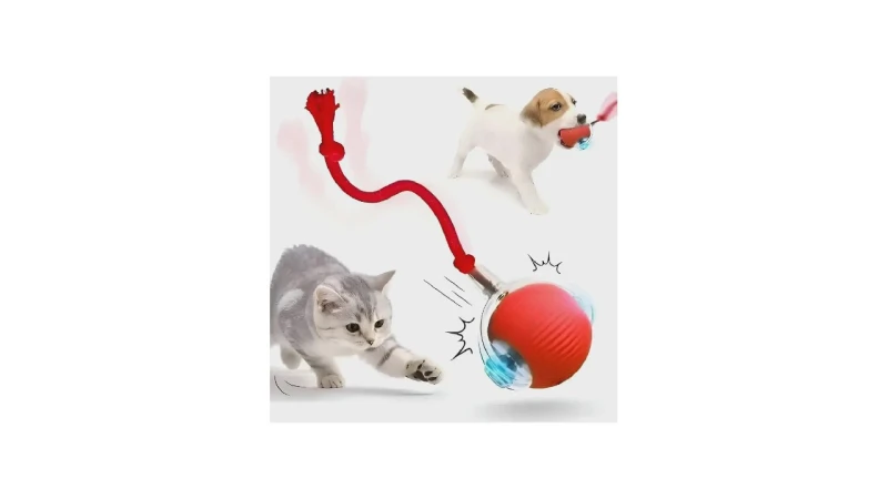 Melhor Brinquedo para Cachorro: Guia Completo e Opções