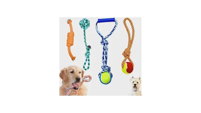 Melhor Brinquedo para Filhote Morder: Guia Definitivo!