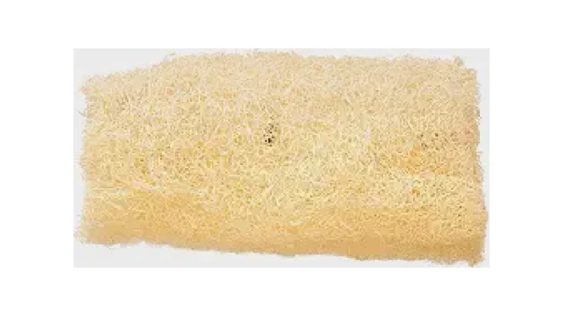 Melhor Bucha de Banho: Guia Completo Para Uma Pele Radiante