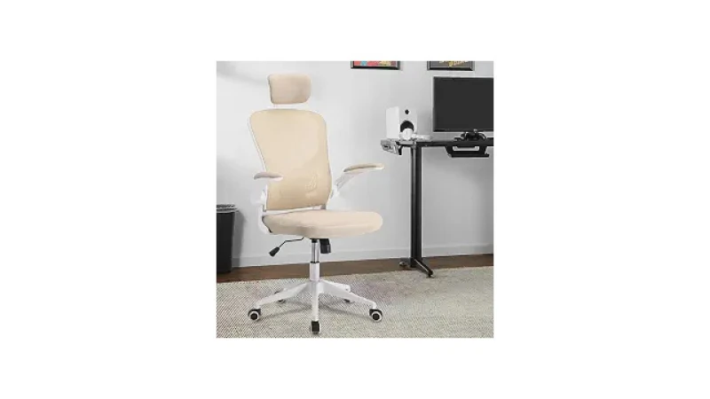 Melhor Cadeira para Estudar para Concurso: Conforto e Ergonomia