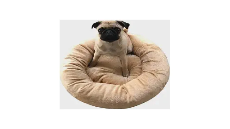 Melhor Cama Gato: Conforto e Segurança Garantidos!