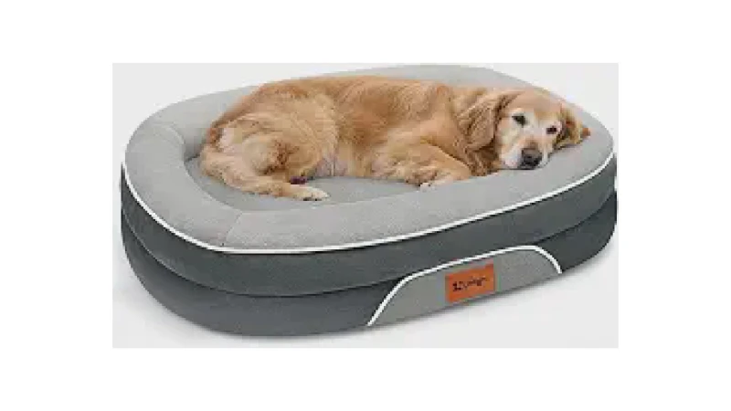 Melhor Cama para Cachorro Idoso: Conforto Ortopédico
