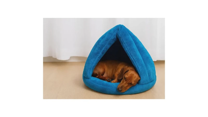 Melhor Cama para Shih Tzu: Conforto e Segurança Garantidos!