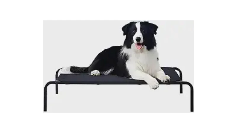 Melhor Cama Suspensa para Cachorro: Conforto e Durabilidade