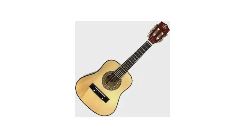 Melhor Cavaquinho para Aprender: Guia Completo para Iniciantes