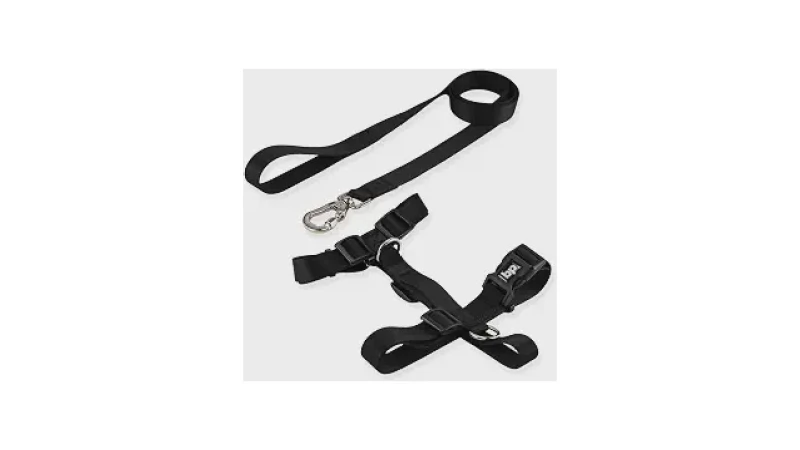 Melhor Coleira para Cachorro Grande: Guia Essencial