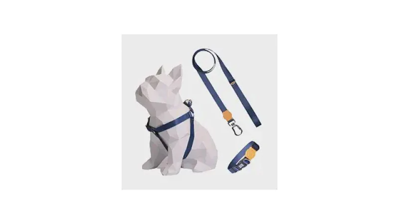Melhor Coleira para Cachorro Salsicha: Guia Essencial