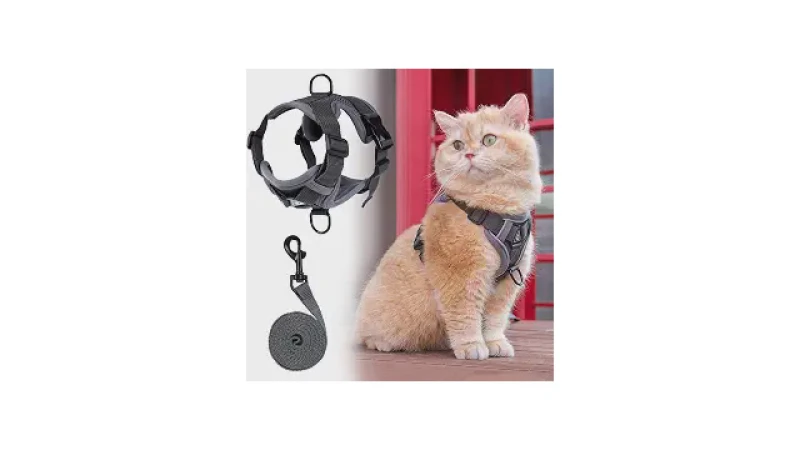 Melhor Coleira para Passear com Gatos: Conforto e Segurança Garantidos