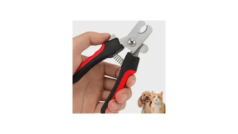 Melhor Cortador de Unha para Gatos: Guia Essencial