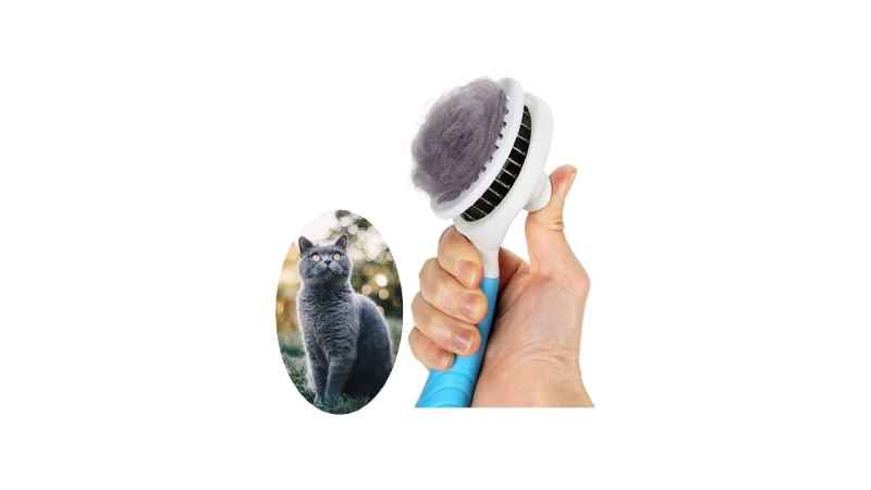 Melhor Escova para Gato: 10 Modelos para Pelagem