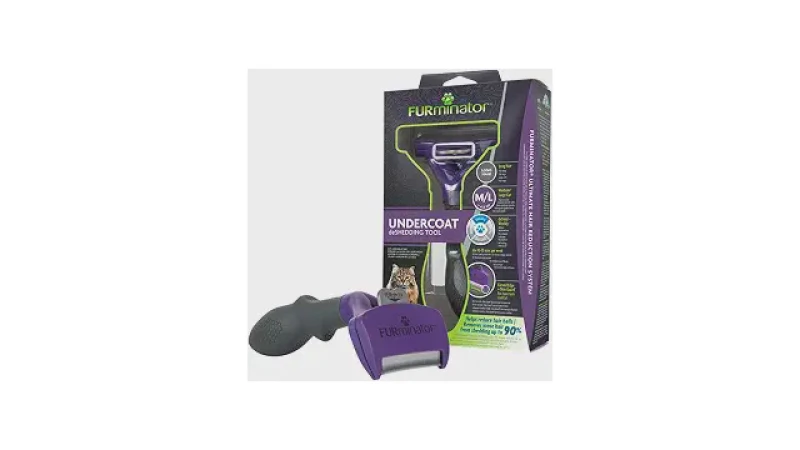 Melhor Escova para Gatos Pelo Longo: Guia de Compra Essencial