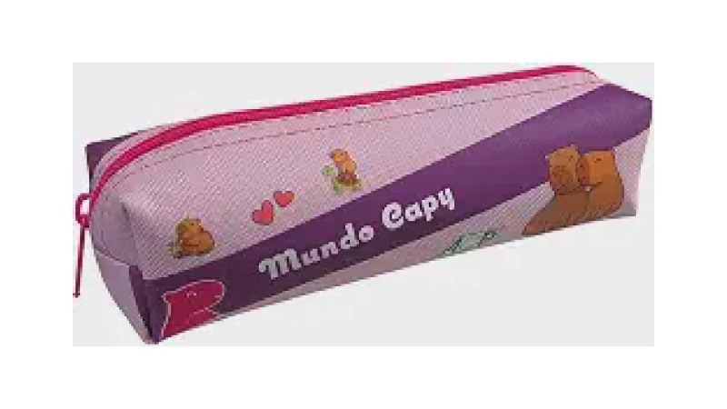 Melhor Estojo do Mundo: Guia Completo Para Organização Escolar