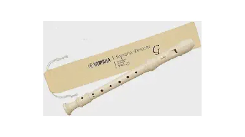 Melhor Flauta para Iniciantes: Guia Completo e Escolha Certa