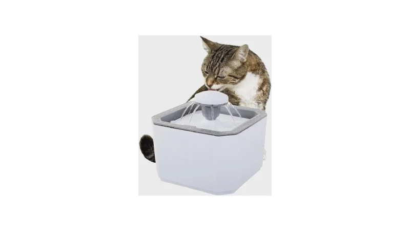 Melhor Fonte de Água Automática para Gato: 10 Modelos Silenciosos