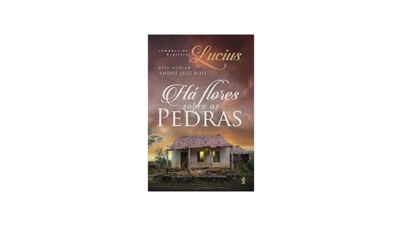 Melhor Livro de Romance Espirita: Emoção e Luz