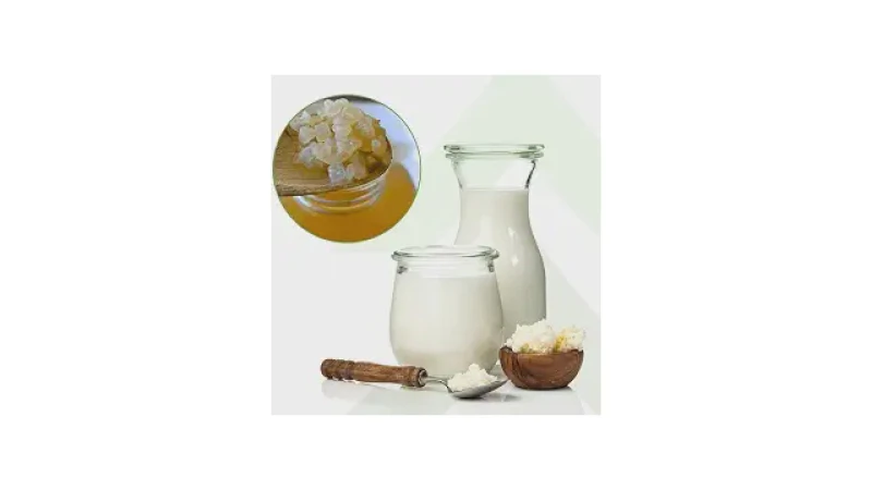 Melhor Marca de Leite Fermentado: Descubra os Probióticos Ideais
