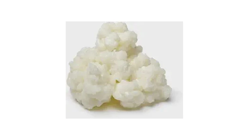 Melhor Marca de Leite para Kefir: Guia Essencial