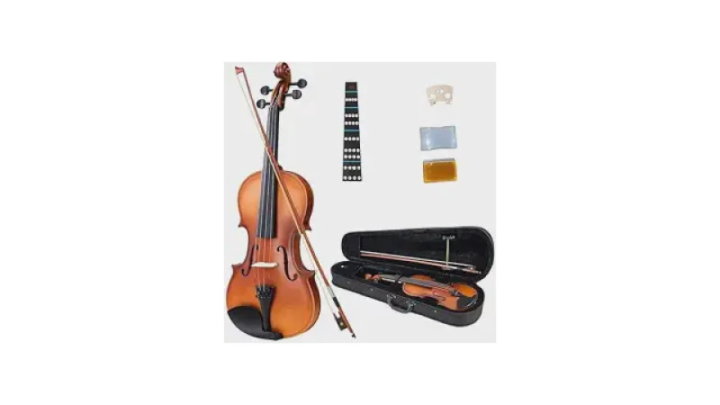 Melhor Marca de Violino do Mundo: Guia Essencial para Músicos