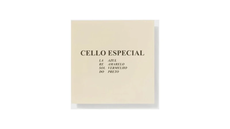 Melhor Marca de Violoncelo: Guia Para Iniciantes