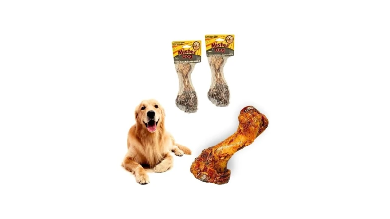Melhor Osso Natural para Cachorro: Guia Essencial