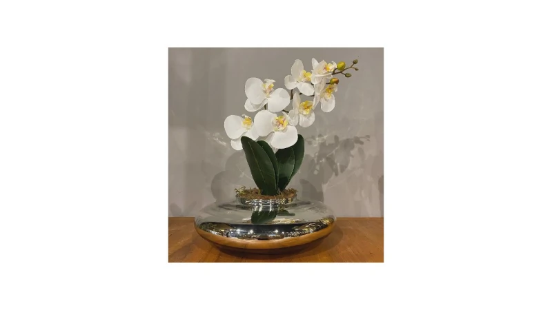 Melhor Planta para Mesa de Jantar: 7 Opções Elegantes