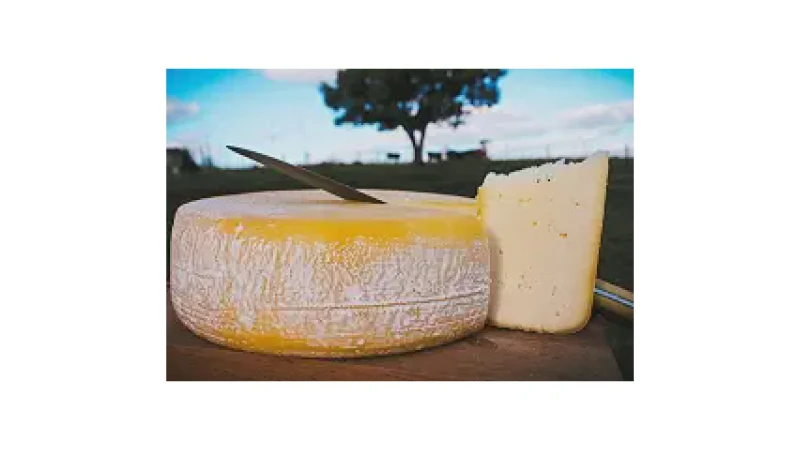 Melhor Queijo Minas Frescal: Sabores Artesanais