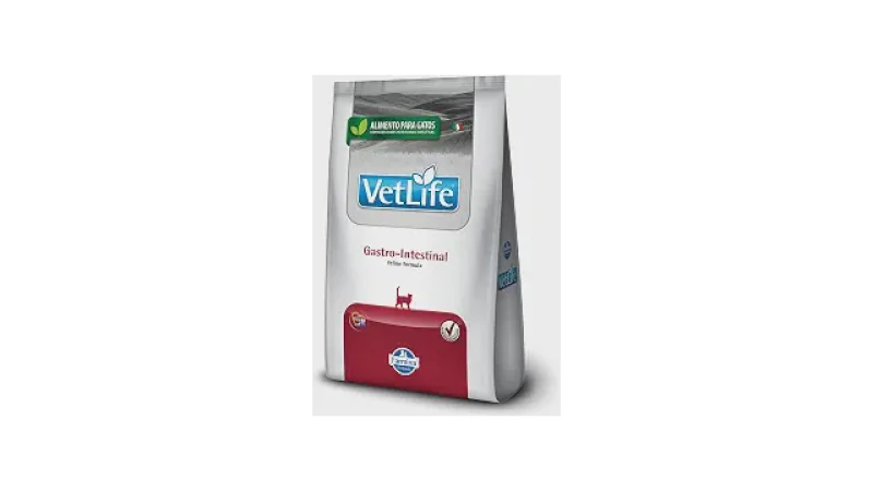Melhor Ração para Gato com Pancreatite: Foco Digestivo