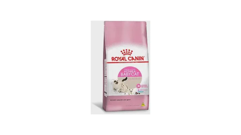 Melhor Ração para Gato Persa Filhote: Guia Completo