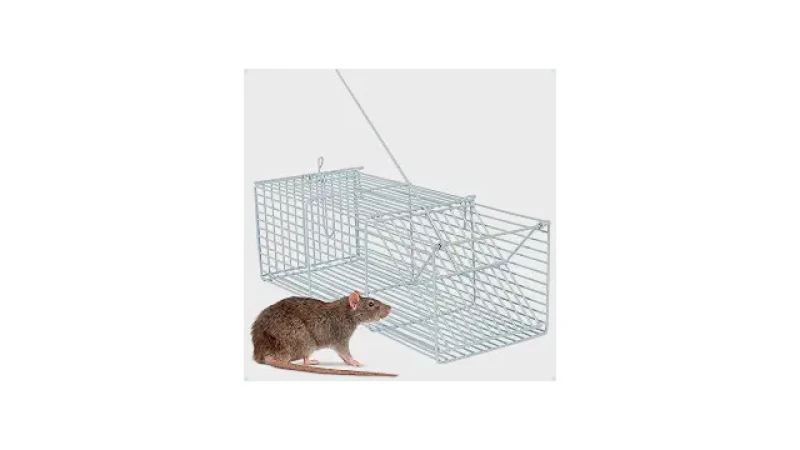 Melhor Ratoeira para Camundongo: Segurança e Eficiência!