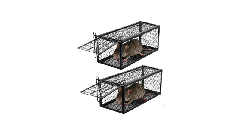 Melhor Ratoeira para Ratos Grandes: Captura Eficaz