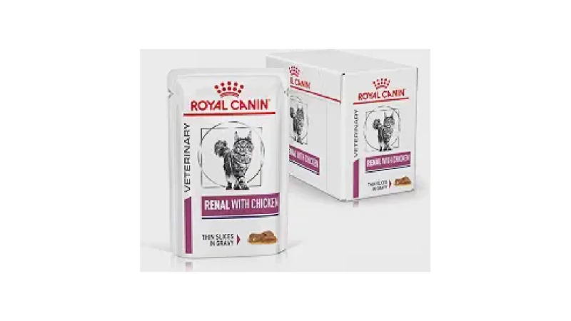 Melhor Sachê para Gato Renal: Guia Completo e Opções