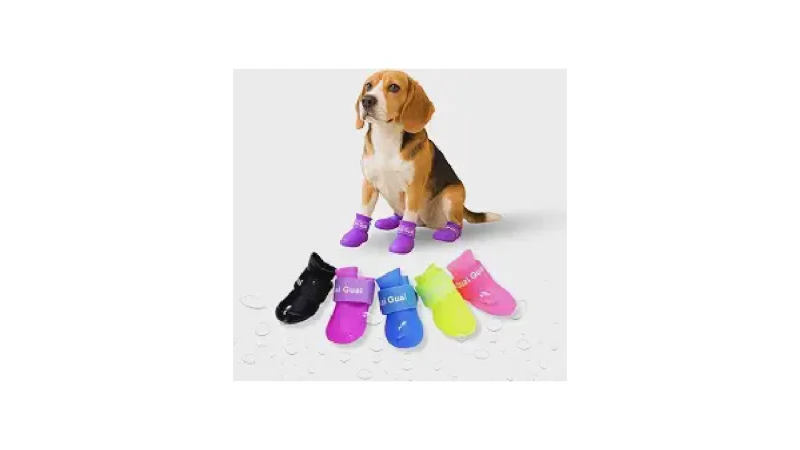 Melhor Sapatinho para Cachorro: Guia Completo