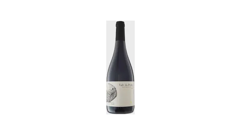 Melhor Syrah Brasileiro: Vinhos Premium para Degustar!