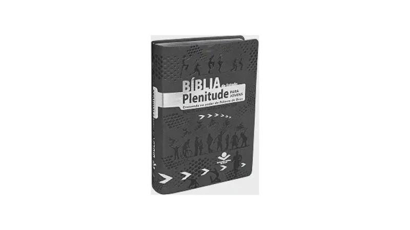 Melhor Tradução da Bíblia para Jovens: Guia Completo
