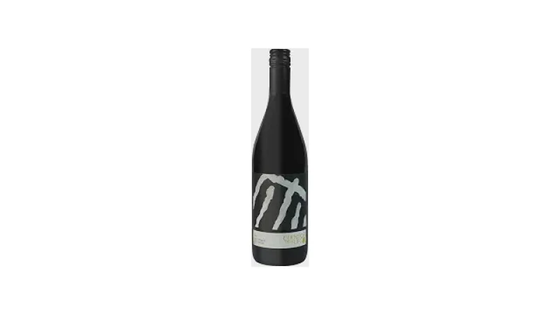 Melhor Uva Vinho Chileno: Descubra Sabores Únicos