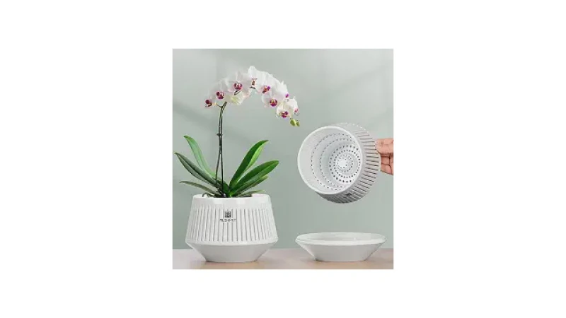 Melhor Vaso para Orquídeas Vanda: Guia Essencial para Raízes Saudáveis