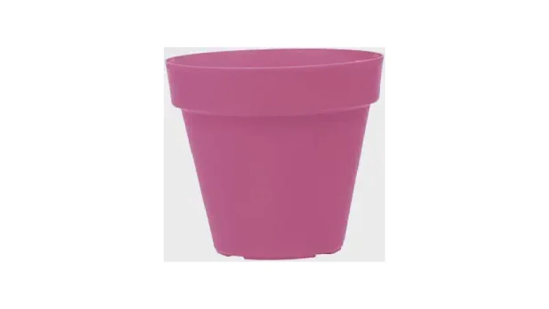 Melhor Vaso para Plantar Rosa do deserto: Guia Essencial