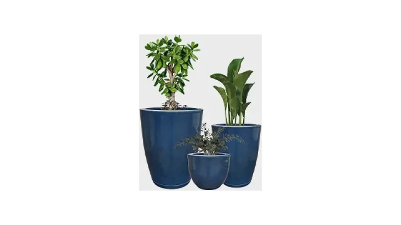 Melhor Vaso para Plantas: Luxo e Decoração