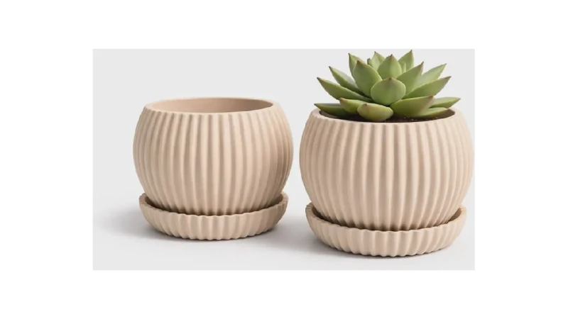 Melhor Vaso para Suculenta: 10 Modelos com Drenagem